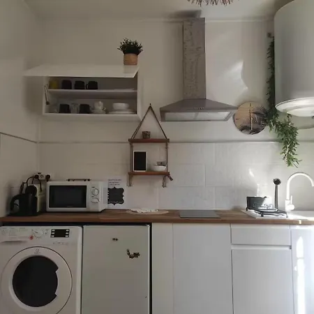 Jungle Appt 2p Cosy Calme Fac Apartment *