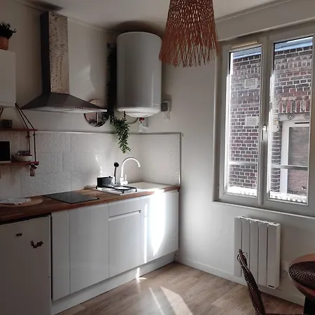 Jungle Appt 2p Cosy Calme Fac * Rouen