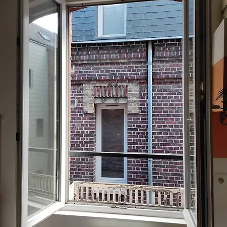 Jungle Appt 2p Cosy Calme Fac