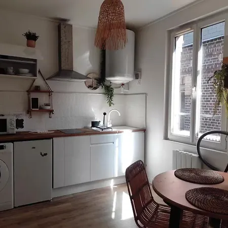 Jungle Appt 2p Cosy Calme Fac Apartment