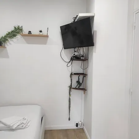 Jungle Appt 2p Cosy Calme Fac Apartment *