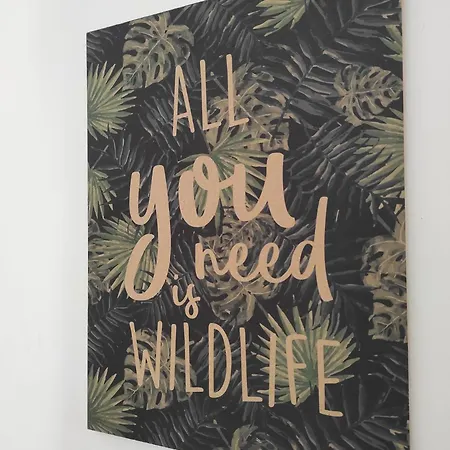 Apartment Jungle Appt 2p Cosy Calme Fac