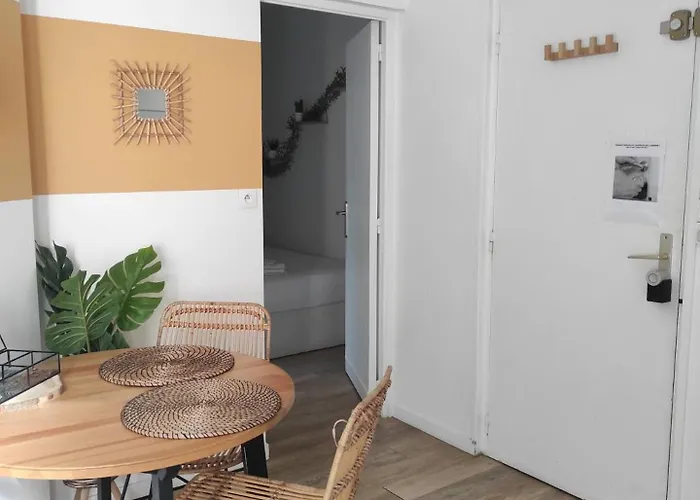 Jungle Appt 2p Cosy Calme Fac Apartment *