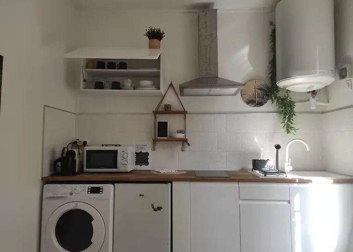 Jungle Appt 2p Cosy Calme Fac Apartment *