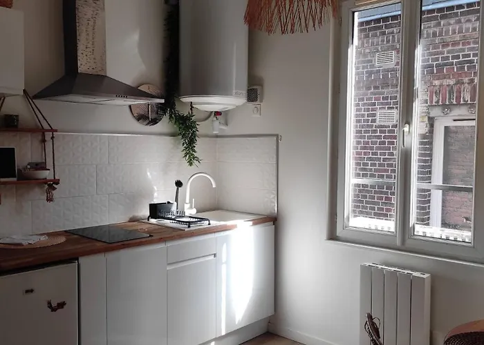 Jungle Appt 2p Cosy Calme Fac * Rouen