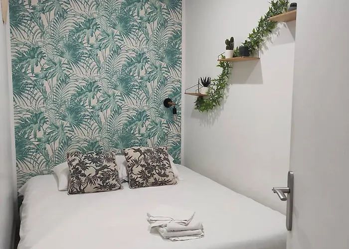 Apartment Jungle Appt 2p Cosy Calme Fac *