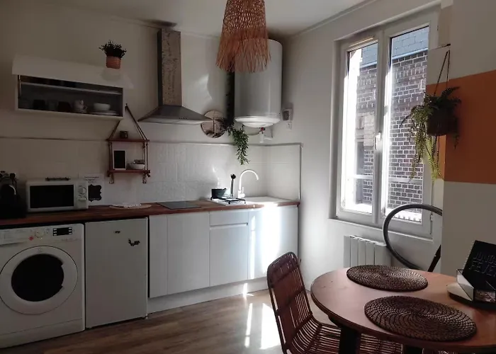 Jungle Appt 2p Cosy Calme Fac Apartment