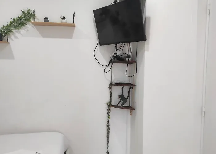 Jungle Appt 2p Cosy Calme Fac Apartment *