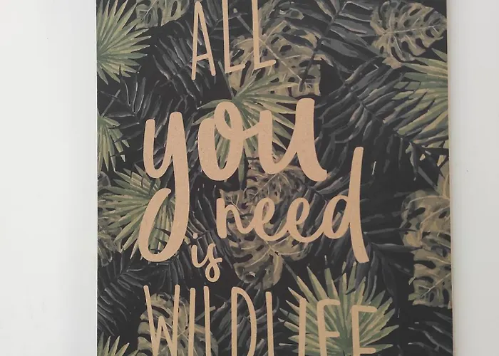 Apartment Jungle Appt 2p Cosy Calme Fac